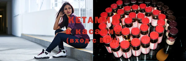 твердый Магас