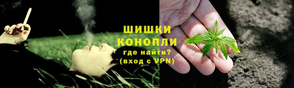 твердый Магас