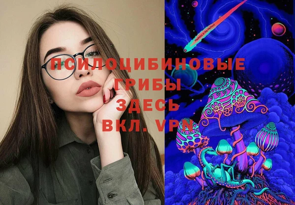 PSILOCYBIN Майский