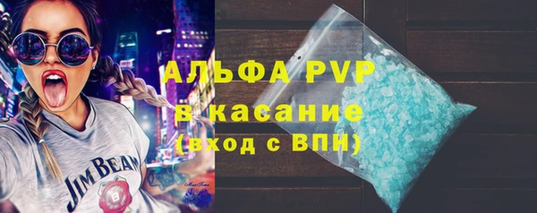 индика Лихославль