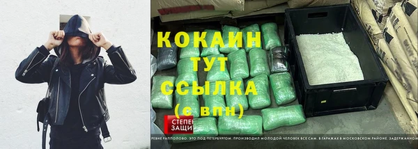 твердый Магас