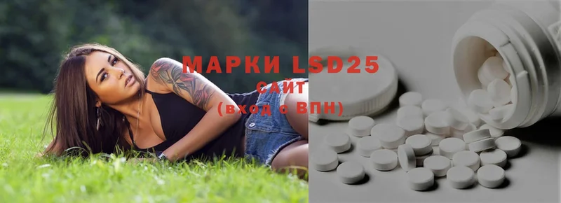 ЛСД экстази ecstasy  наркота  Покровск 