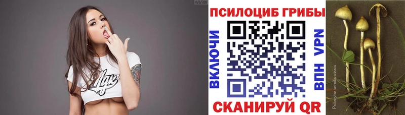 shop клад  Покровск  Галлюциногенные грибы Psilocybine cubensis 