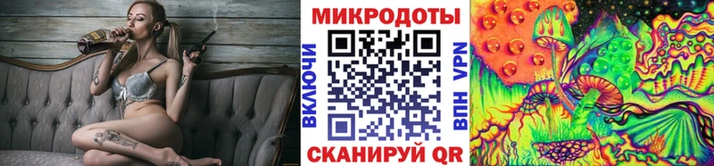 Галлюциногенные грибы Psilocybe Покровск